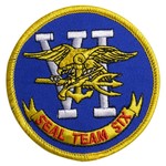 アメリカ海軍 ワッペン ネイビーシールズ Team6 熱圧着式