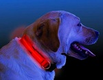 ナイトアイズ 首輪 犬用 ナイトドッグ LEDライト内蔵