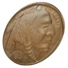  チャームパーツ ブレイブインディアンコイン P252