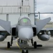 Landivisau Ocean Tiger 2008 Czech Air Force Gripen