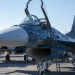 F-2 戦闘機 - エア・フェスタ浜松2012