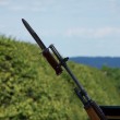 Bayonet3