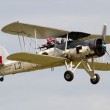 Swordfish 2