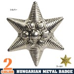 ハンガリー軍放出品 バッジ 記章 星型