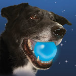 ナイトアイズ 犬用ボール メテオライト LED