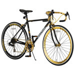 【直送 代引き不可】 自転車 Raychell+ R+713 GolDragon 480