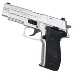 TANAKA WORKS 発火式モデルガン SIG P226 Railed Frame Evolution.2 オールヘビーウエイト Warm Silver Coating