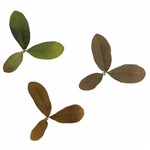 NOVRITSCH 人工葉 Leaf Camo LC2 ギリースーツ用