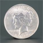 Silver Dollars 銀貨 ピースダラー 女神 白頭鷲