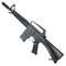 colt1011の写真