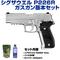 sg1-sig-p226r sg1-sig-p226rの写真