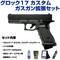 sg2-g17cfg sg2-g17cfgの写真