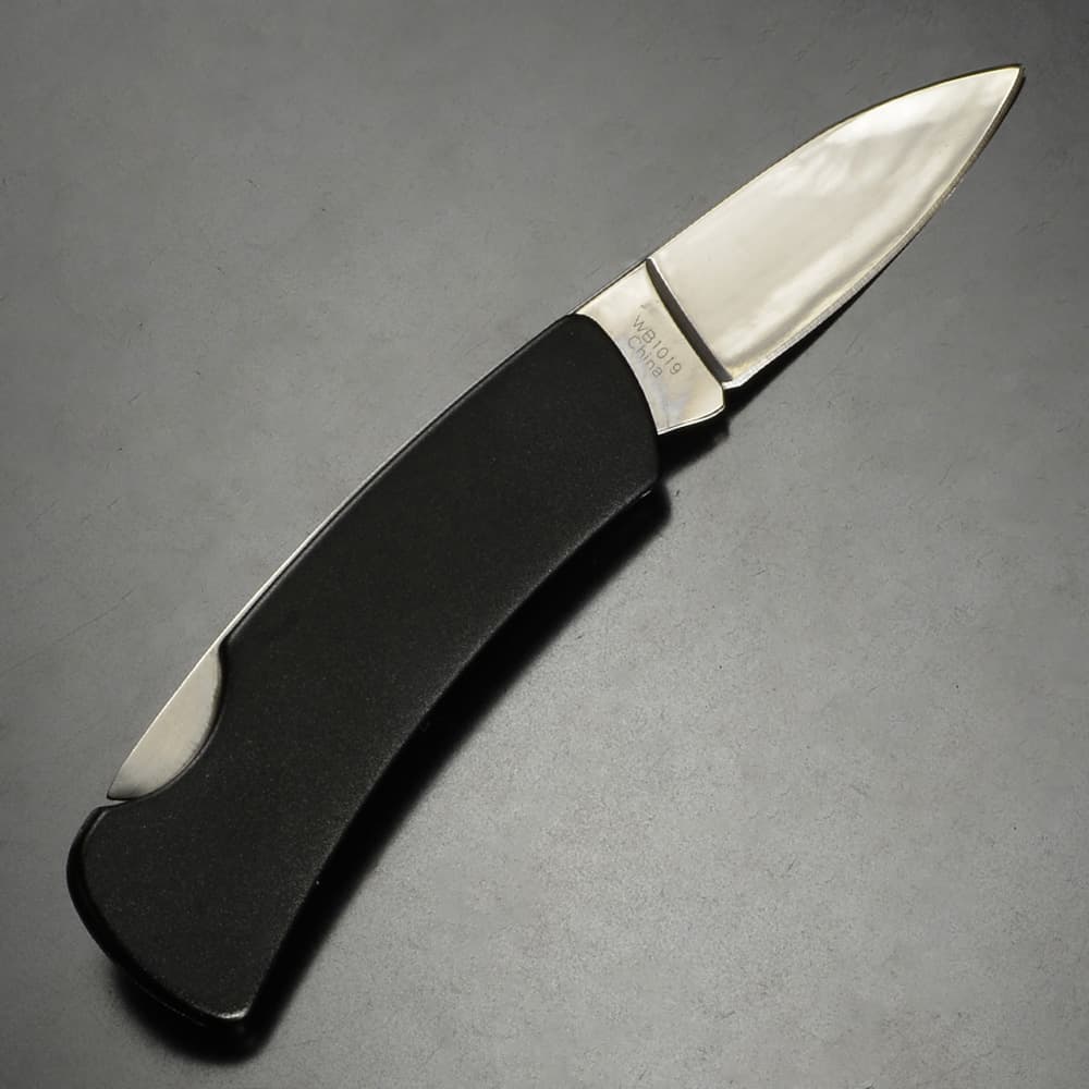 Wild Boar 折りたたみナイフ ロックバック 鏡面仕上げ WB1019