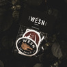 WESN ステッカー 5枚セット WESN110