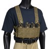 DIRECT ACTION TIGER MOTH チェストリグ ARマガジン8本収納
