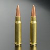 RIGHT リアルダミーカート 鑑賞用 7.62x51mm NATO弾 5発セット