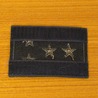 チェコ軍放出品 ワッペン 階級章 大尉 金色星 ベルクロ付き OD