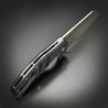 Kizer Cutlery 折りたたみナイフ Sheepdog C01C XL カーボンファイバー V5488C3