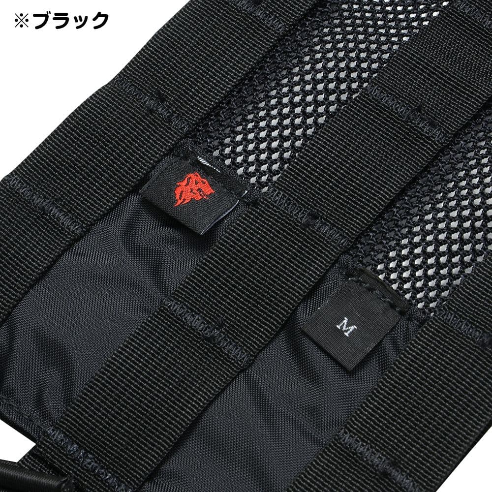実物LBX-0300S カマーバンド変更、サイドプレート、ダミー