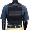 REPSGEAR プレートキャリア LV119 Overt オバート PTVT07