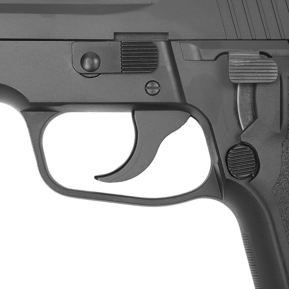 TANAKA WORKS 発火式モデルガン SIG P228 Evolution 2 オール