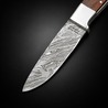 Frost Cutlery アウトドアナイフ Hunter ローズウッド 全長8.25インチ FVFD57RW