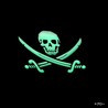 MAXPEDITION パッチ Jolly Roger ベルクロ PVC製