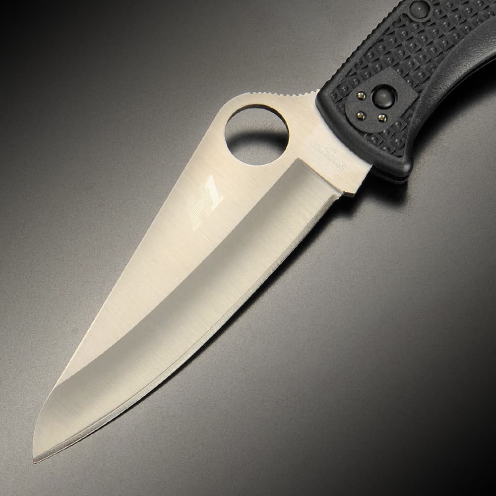 Spyderco 折りたたみナイフ PACIFIC SALT 2 直刃 | ミリタリーショップ