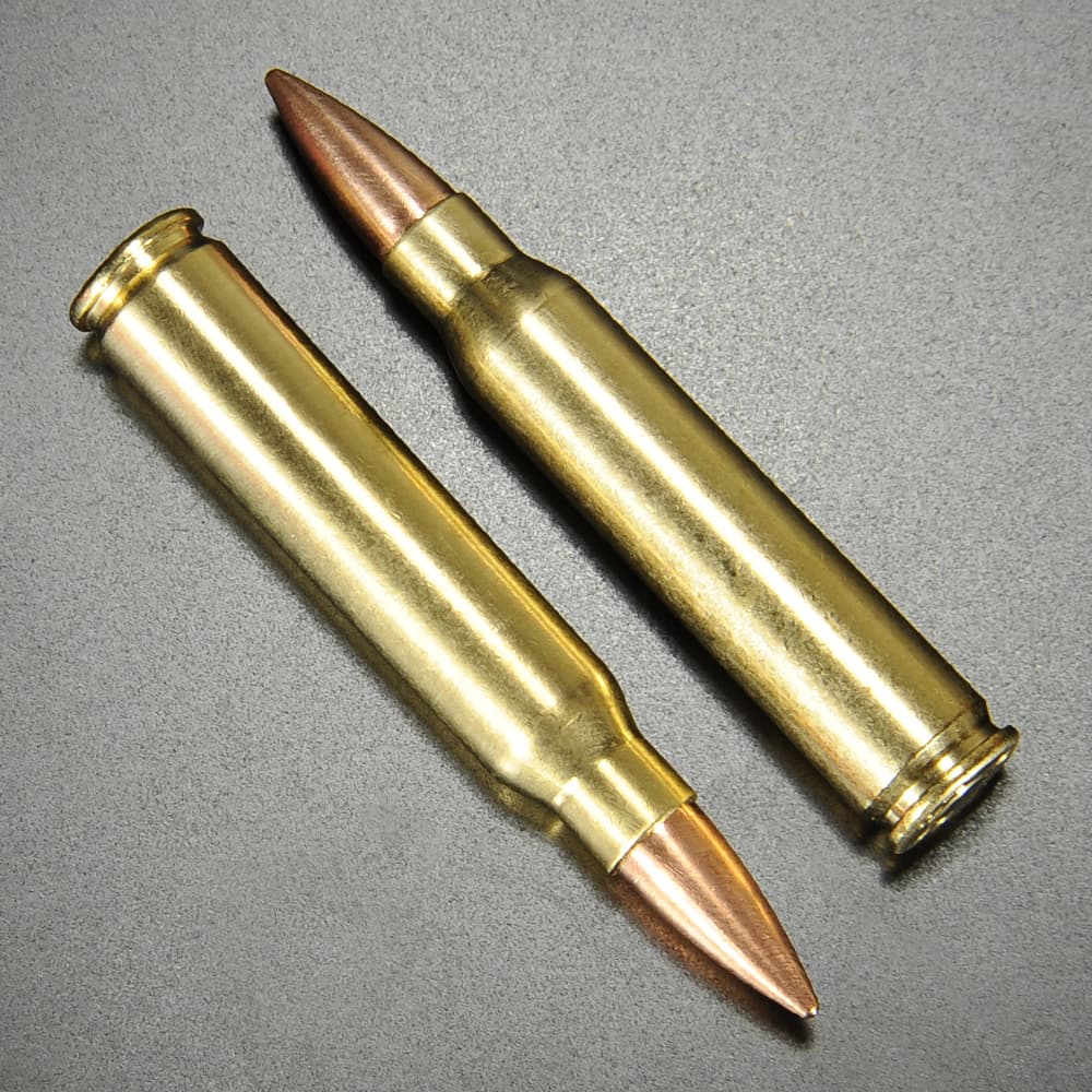 ミリタリーショップ レプマート / RIGHT リアルダミーカート 5.56×45mm NATO弾 20発セット プラケース付き