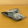 米軍放出品 ライフルマガジンポーチ MOLLE II 前後2連 M4/AR15 フラップ付き ACU/UCP迷彩