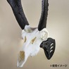 SKULL HOOKER スカルハンガー LITTLE HOOKER ハンティングトロフィー専用