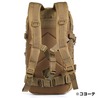 Red Rock Outdoor Gear アサルトパック 約28L MOLLEウェビング 80126