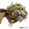 NOVRITSCH ヘルメットギリー 3D Camo Cover FASTハイカットヘルメット対応 U25