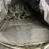 オーストリア軍放出品 バックパック KAZ 03 80L 金属フレーム無し 雨蓋無し
