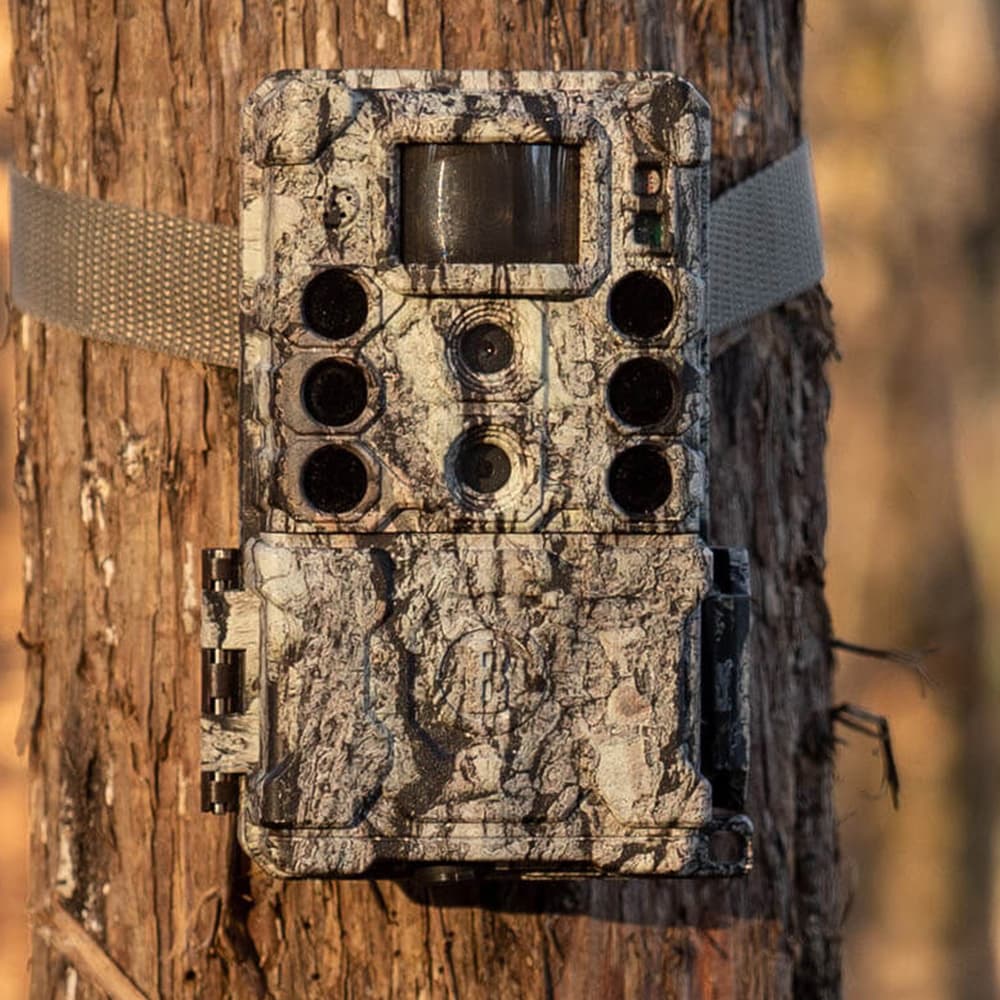 Bushnell トレイルカメラ CORE DS-4K ノーグロウ 32MP トロフィーカム