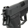 タナカ ガスガン SIG P220 IC