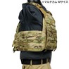 Warrior Assault Systems プレートキャリア LPC V1 ロープロファイル W-EO-LPC-V1