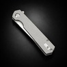 Ganzo Knives 折りたたみナイフ Firebird フレームロック D2鋼 FH12-SS