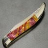 Case Cutlery 折りたたみナイフ Toothpick ルビー CA910096GR
