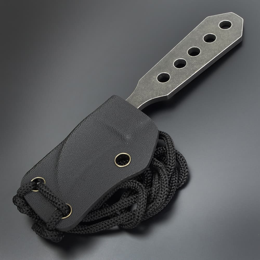 ハイパーナイフ6 ナイフショップ グローイング！□Spyderco【スパイダルコ】□ セージ6