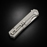 Ganzo Knives 折りたたみナイフ Firebird フレームロック D2鋼 FH12-SS