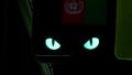 M-TAC ワッペン Cat Eyes キャットアイ 蓄光 コーデュラ500D レーザーカット 51009レビュー写真 by J-FOREIGN-LEGION